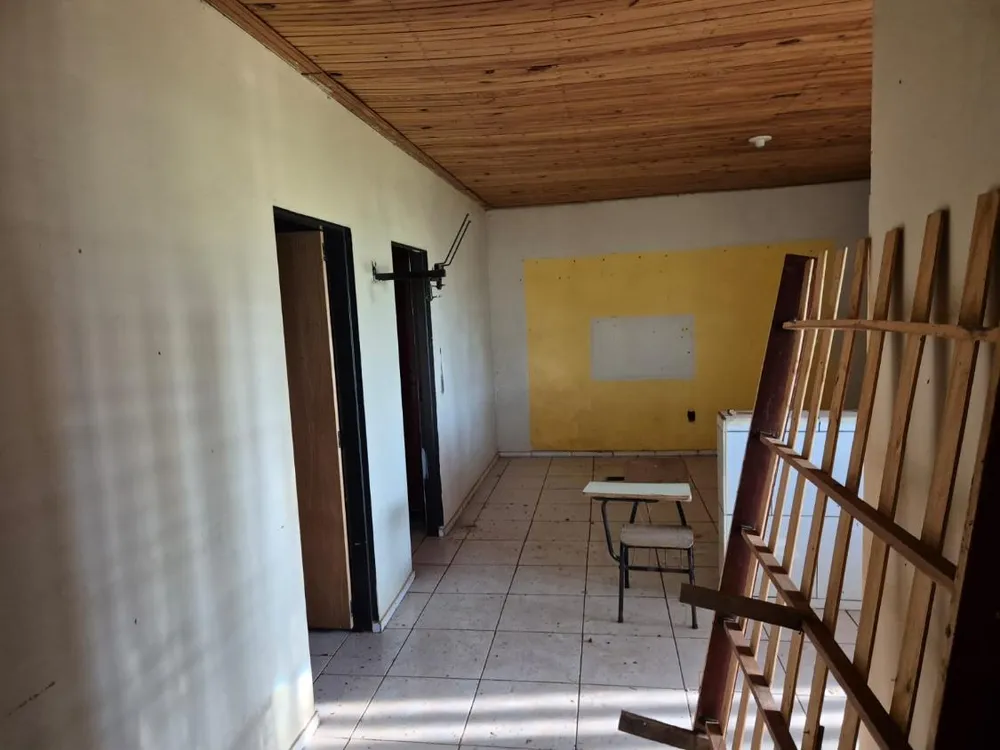 Sítio - Foto 1