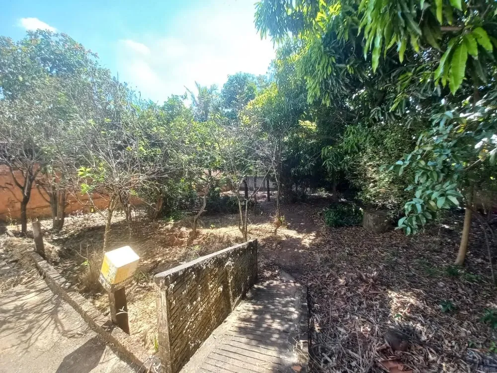 Depósito-Galpão - Foto 3