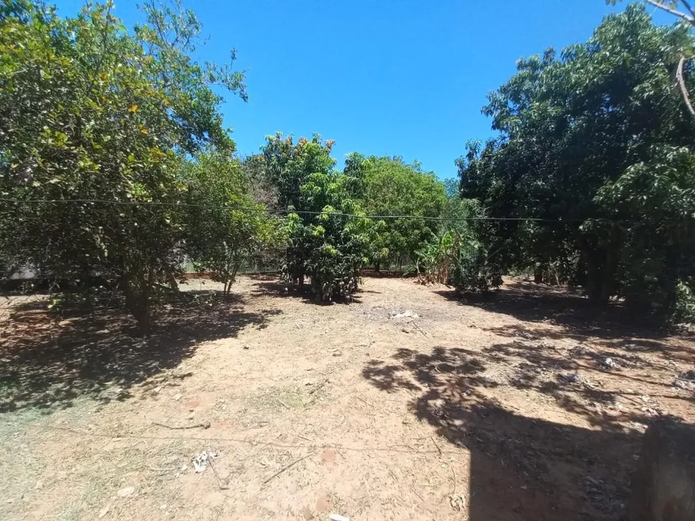 Chácara, 3 quartos, 1000 m² - Foto 5