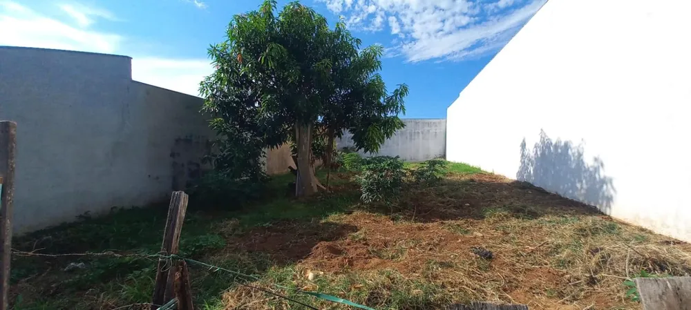Terreno, 250 m² - Foto 1