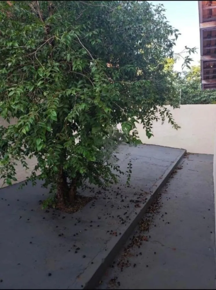 Casa, 4 quartos, 160 m² - Foto 2
