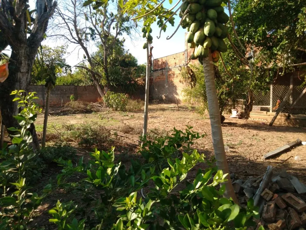 Casa, 4 quartos - Foto 1