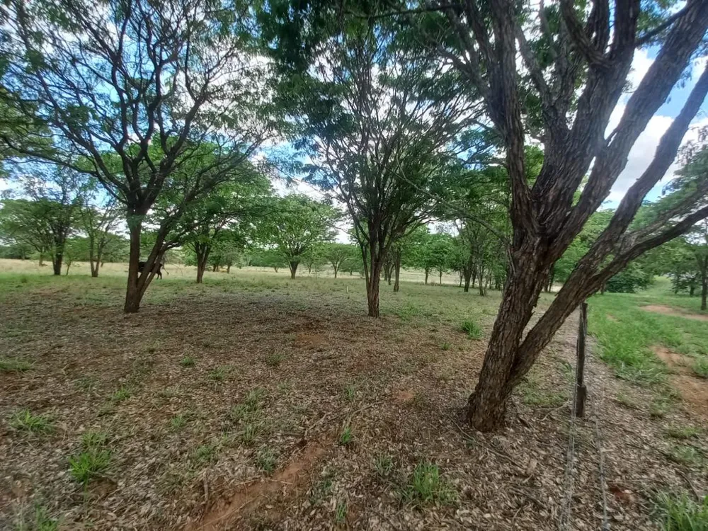 Terreno, 2 hectares - Foto 2