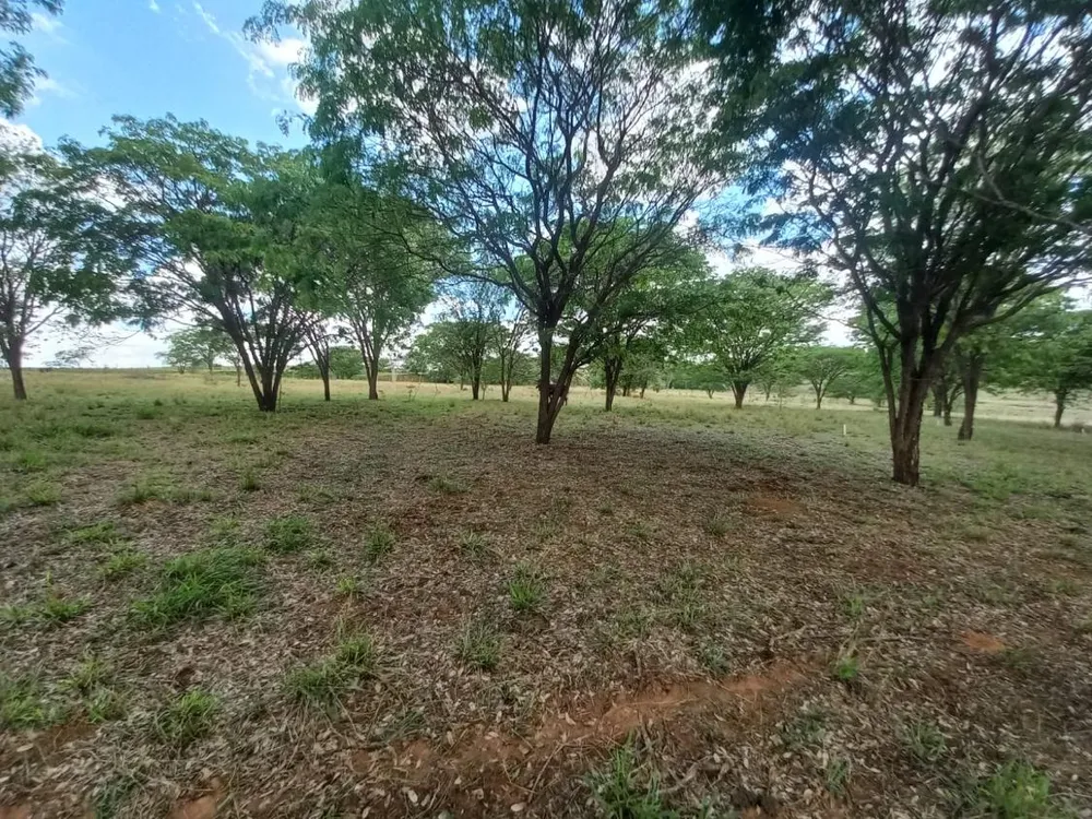 Terreno, 2 hectares - Foto 4
