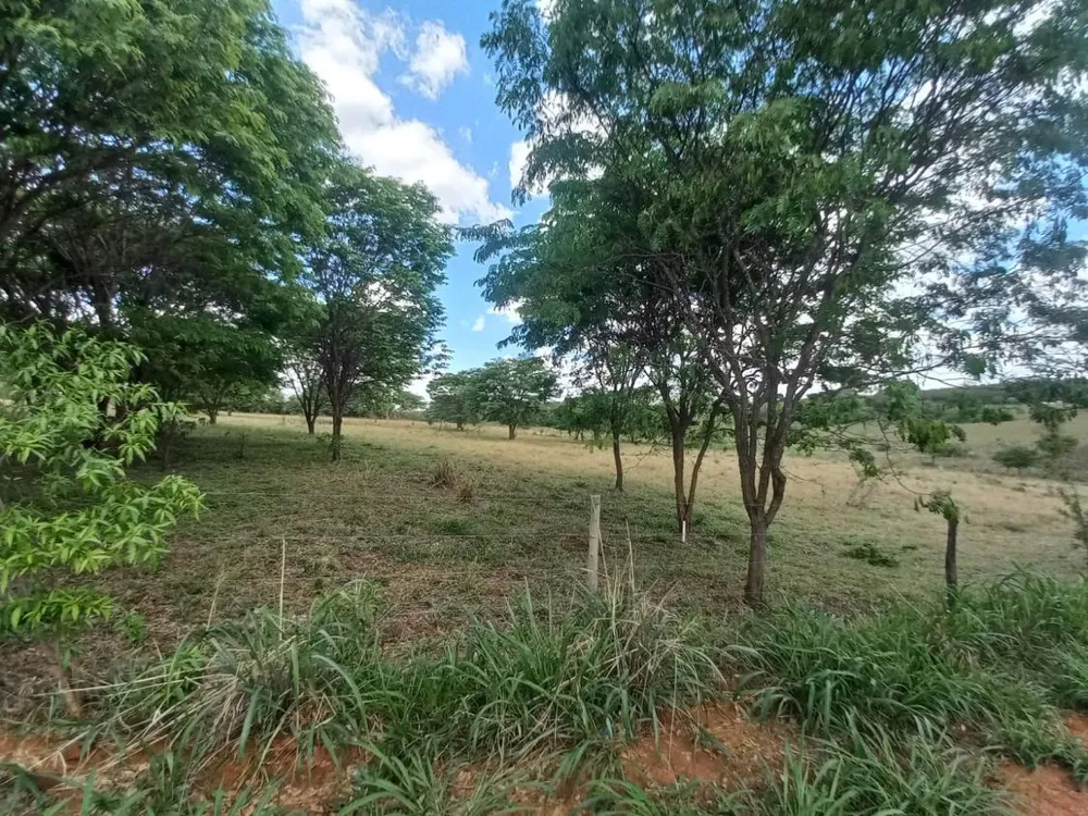 Terreno, 2 hectares - Foto 3