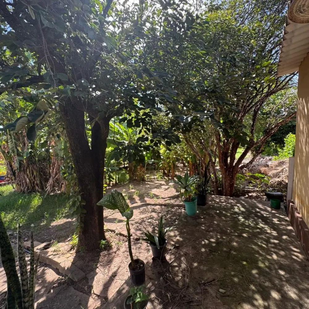 Chácara, 4 quartos, 1600 m² - Foto 4