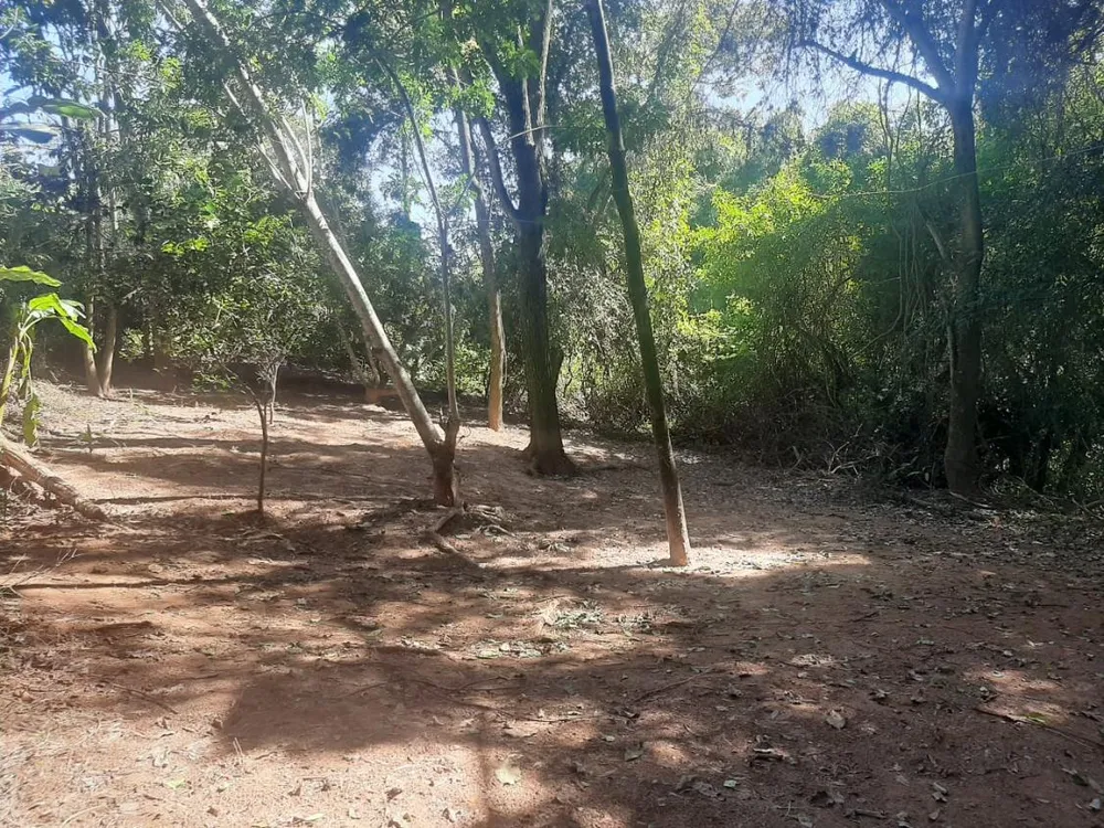Chácara, 4 quartos - Foto 3