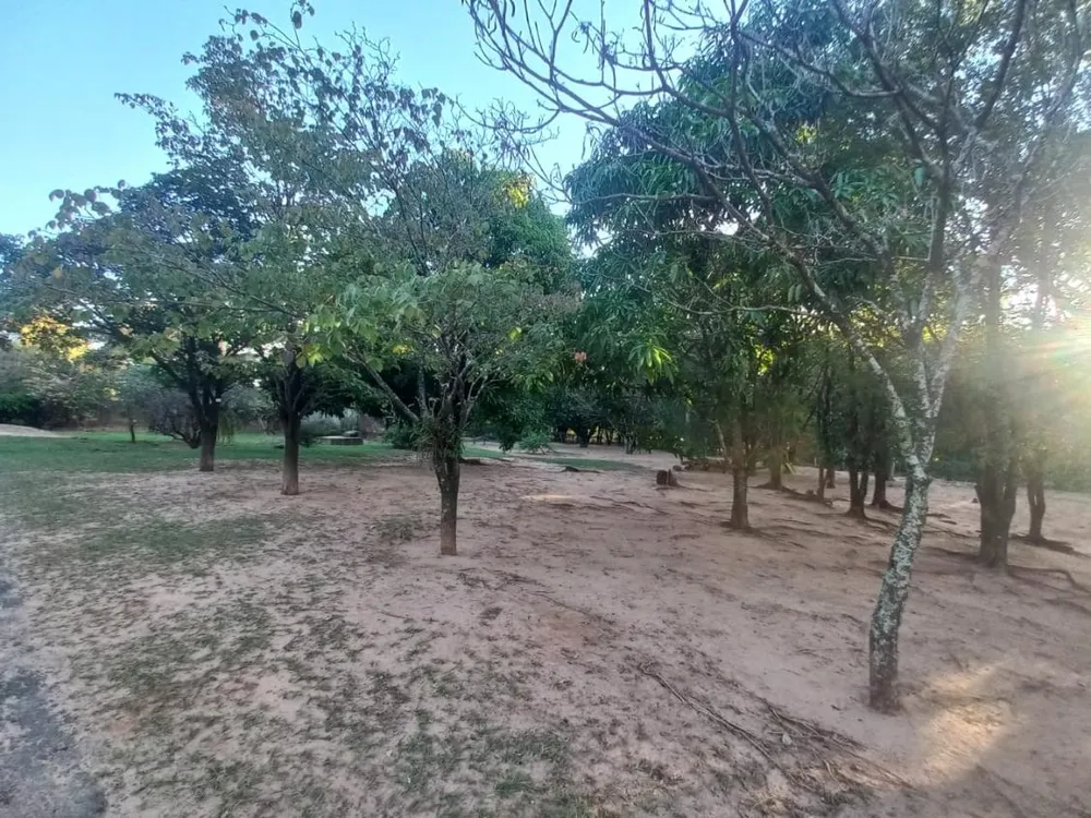Chácara, 2 quartos, 10000 m² - Foto 3