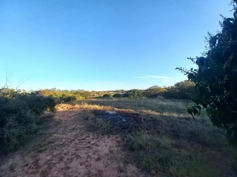 Chácara, 2 quartos, 10000 m² - Foto 7