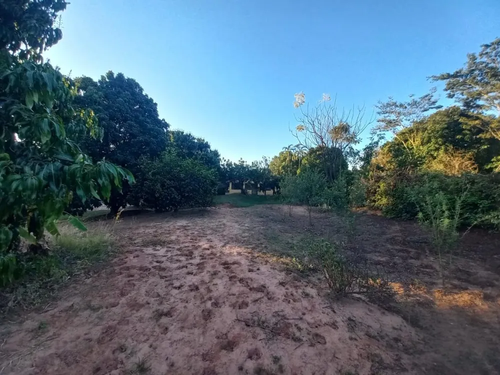 Chácara, 2 quartos, 10000 m² - Foto 10