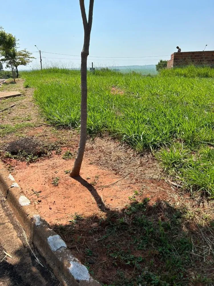 Terreno, 200 m² - Foto 7