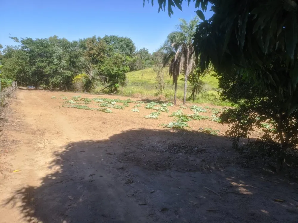 Chácara, 2 quartos, 3870 m² - Foto 3