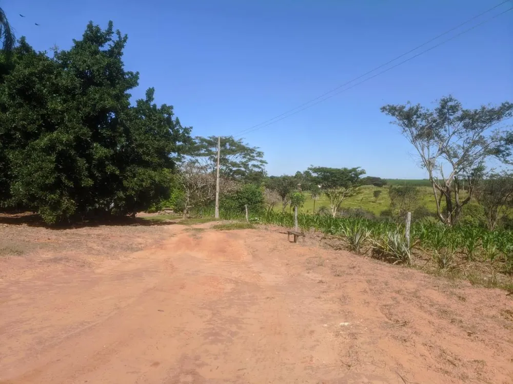 Chácara, 2 quartos, 3870 m² - Foto 1