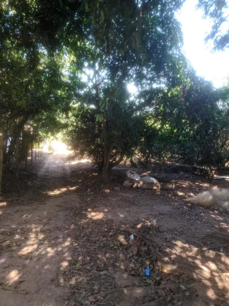 Chácara, 2 quartos, 3870 m² - Foto 6