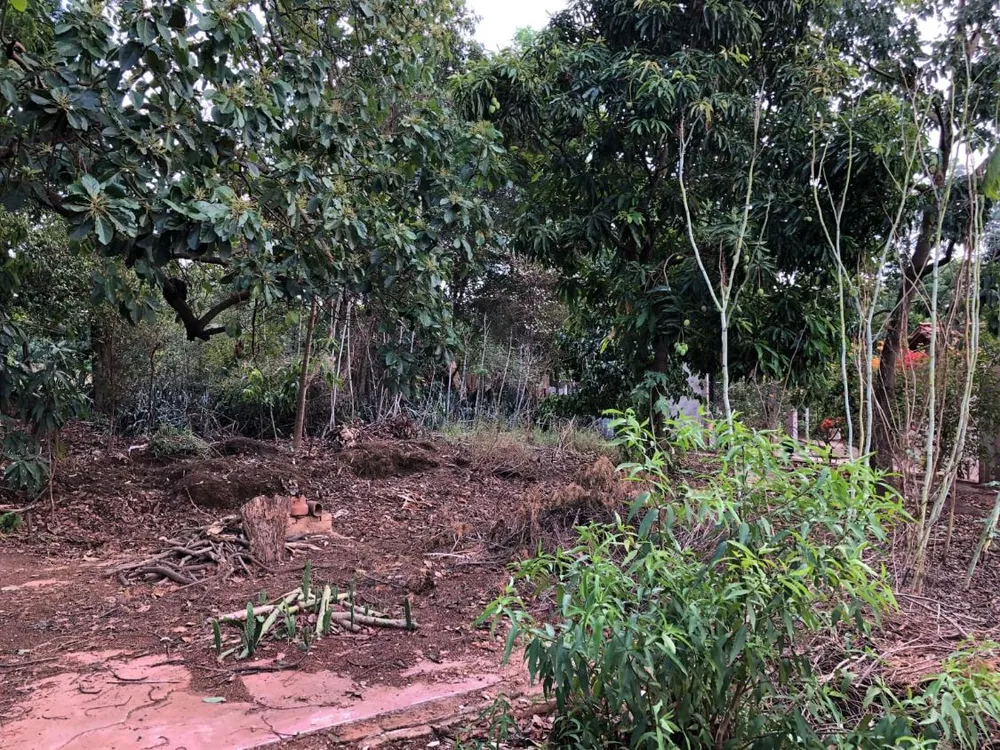 Terreno - Foto 3