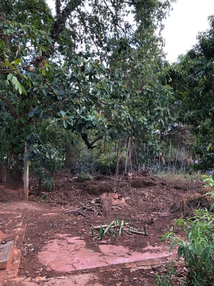 Terreno - Foto 4
