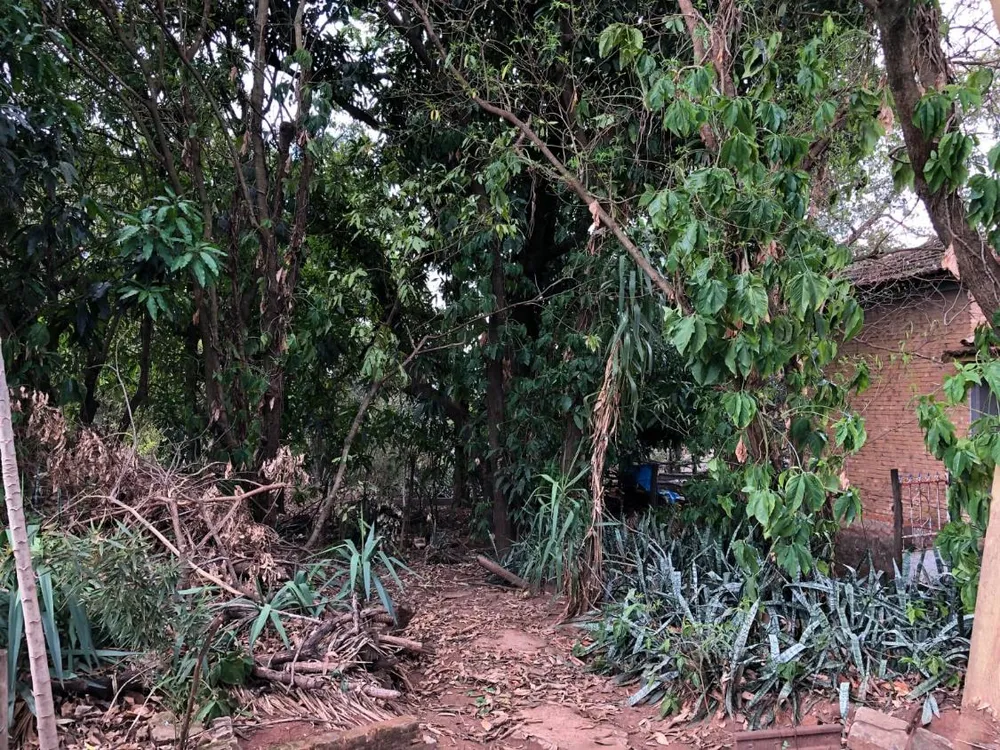 Terreno - Foto 1