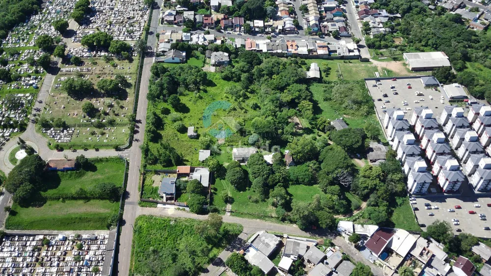 Terreno, 13460 hectares - Foto 6