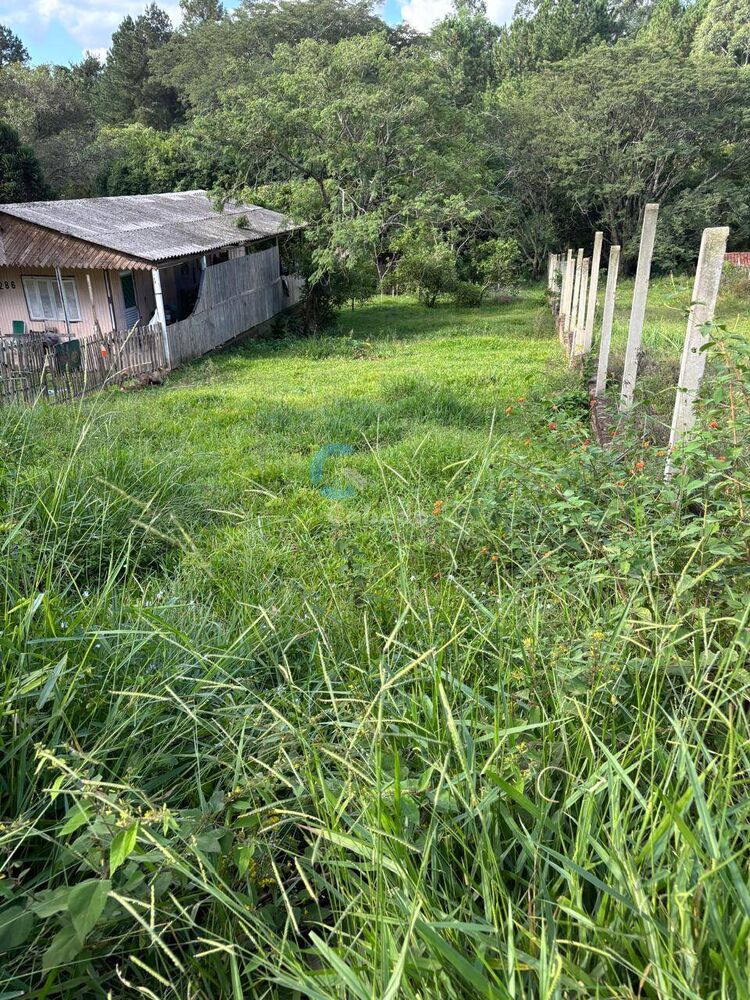 Terreno, 9 hectares - Foto 1