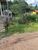 Terreno, 9 hectares - Foto 1