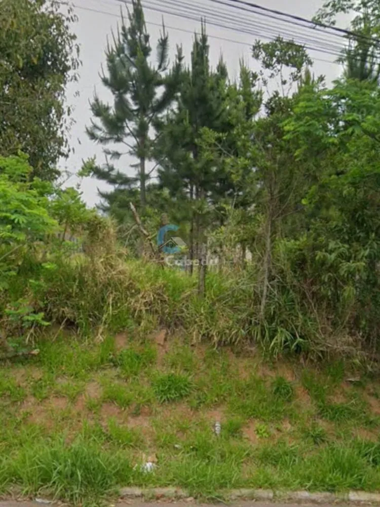 Terreno, 300 m² - Foto 1