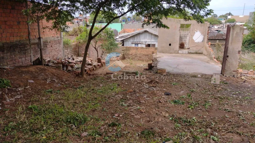 Terreno - Foto 5