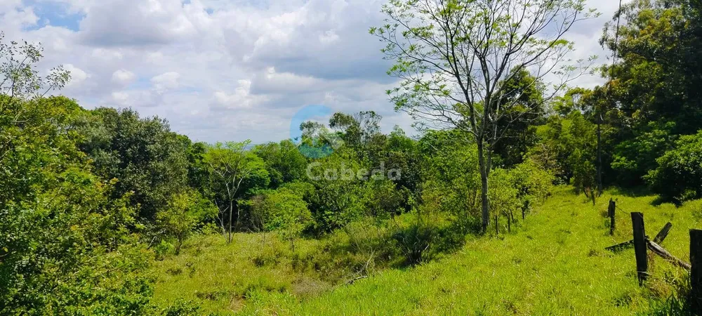 Chácara, 2 quartos, 5000 m² - Foto 11