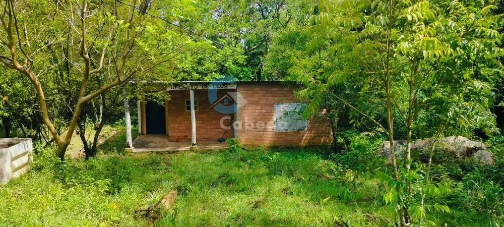Sítio, 2 quartos, 5000 m² - Foto 3