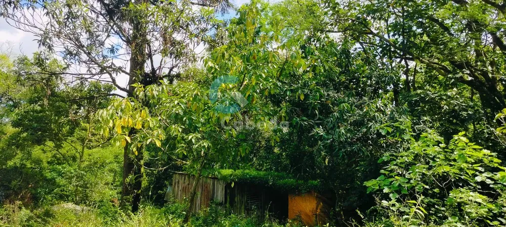 Chácara, 2 quartos, 5000 m² - Foto 8