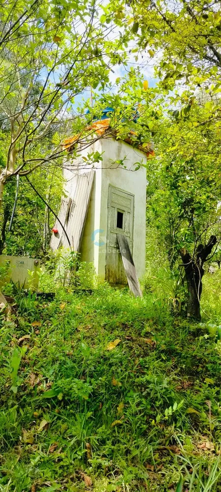 Sítio, 2 quartos, 5000 m² - Foto 5