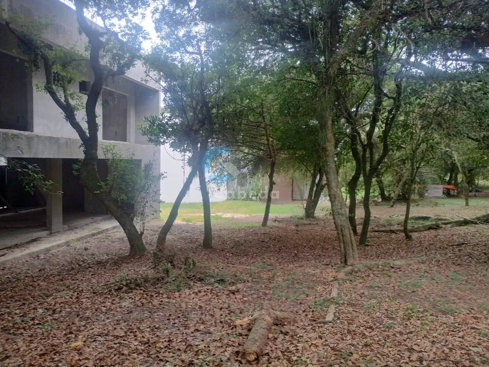 Terreno, 300 m² - Foto 14