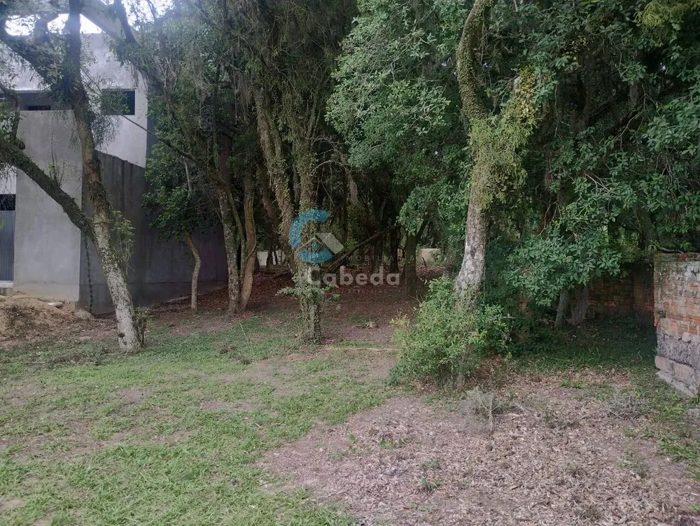 Terreno, 300 m² - Foto 4