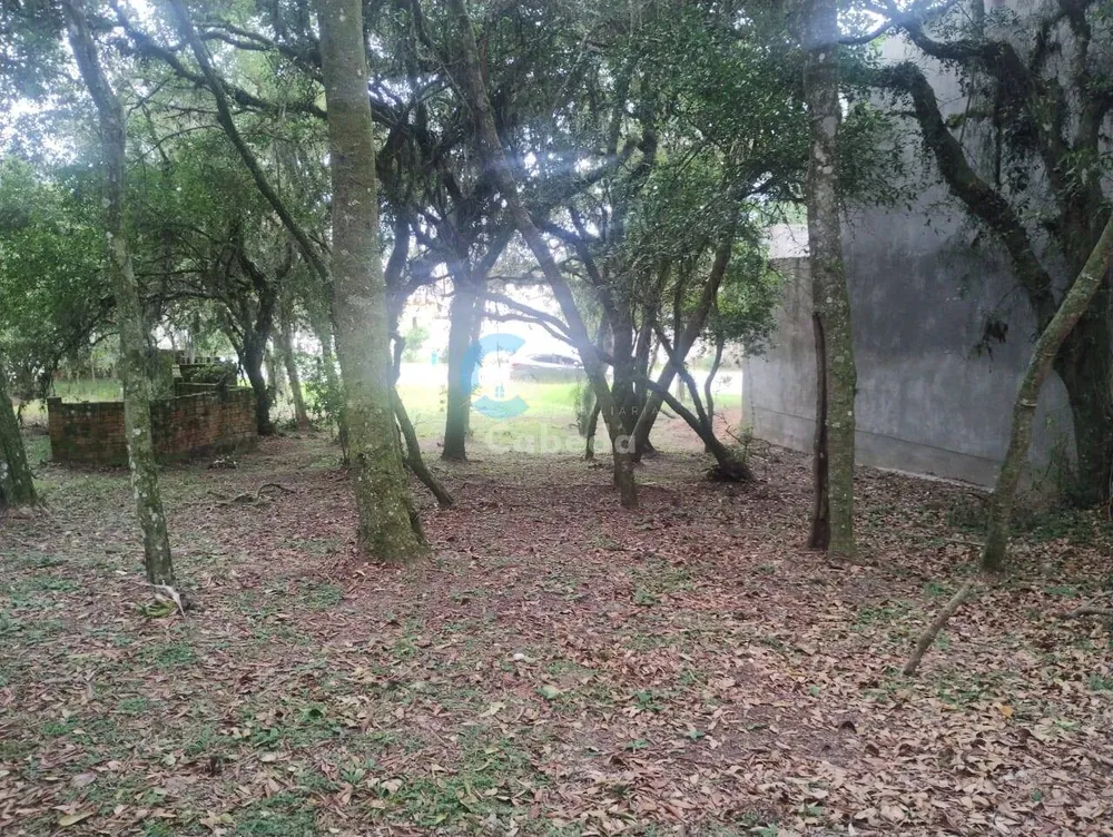 Terreno, 300 m² - Foto 5