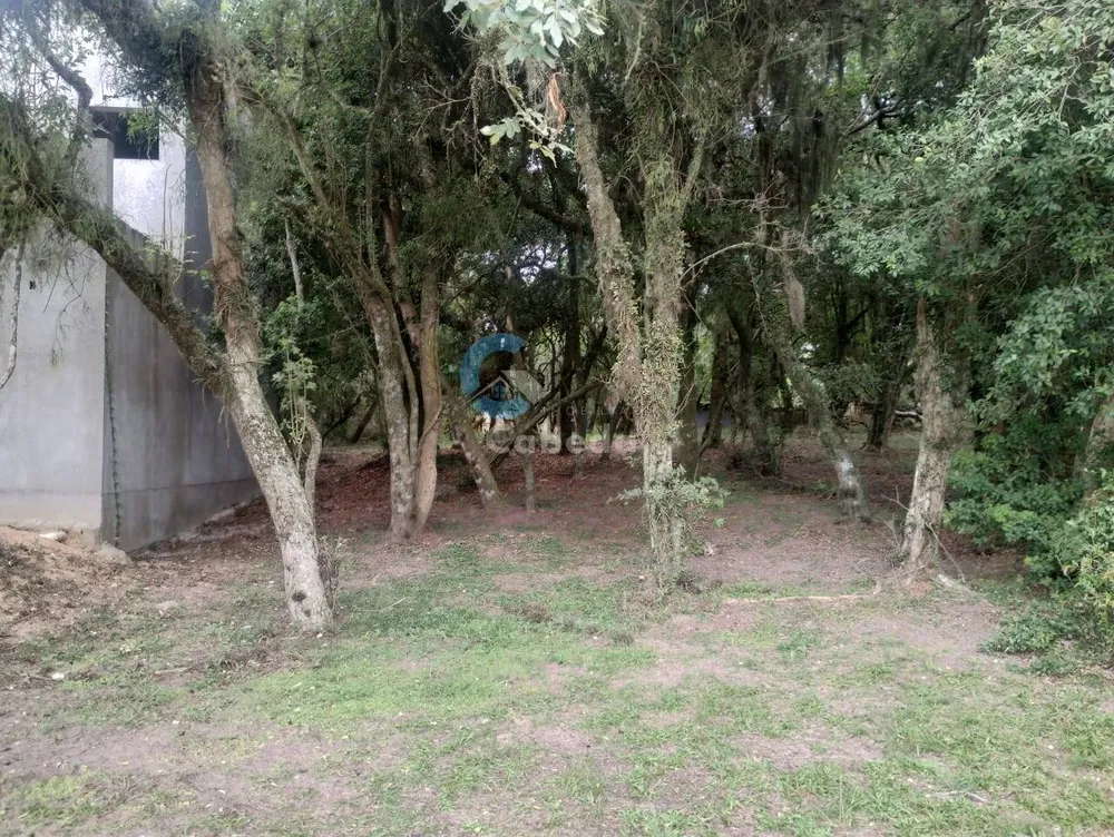 Terreno, 300 m² - Foto 10