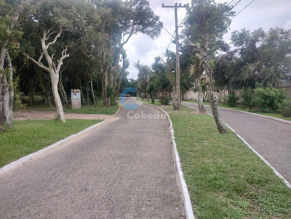 Terreno, 300 m² - Foto 3
