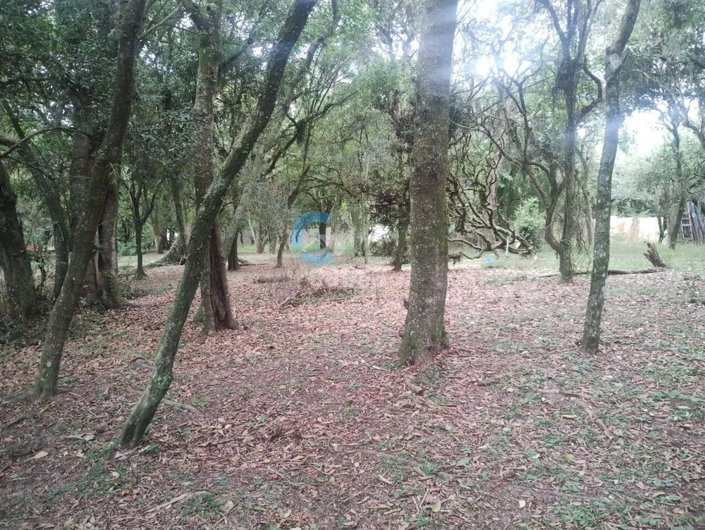 Terreno, 300 m² - Foto 13