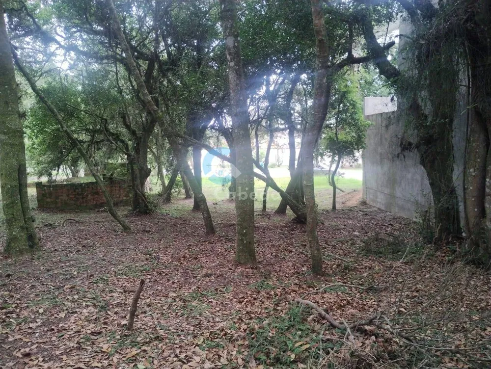 Terreno, 300 m² - Foto 8