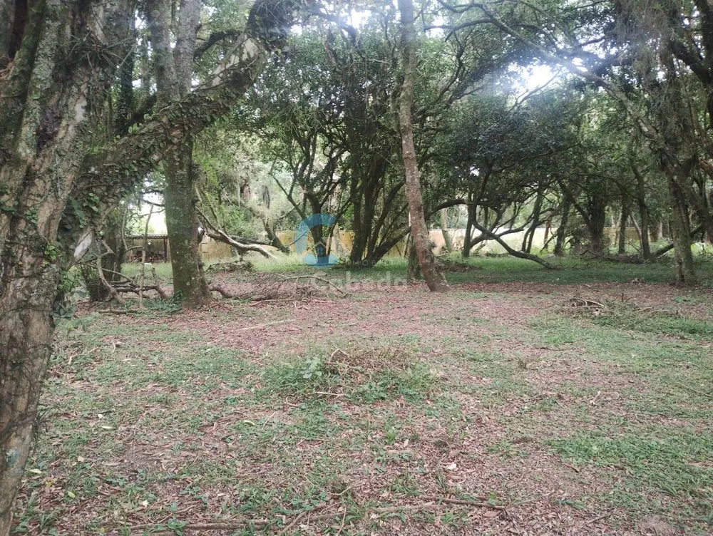 Terreno, 300 m² - Foto 6
