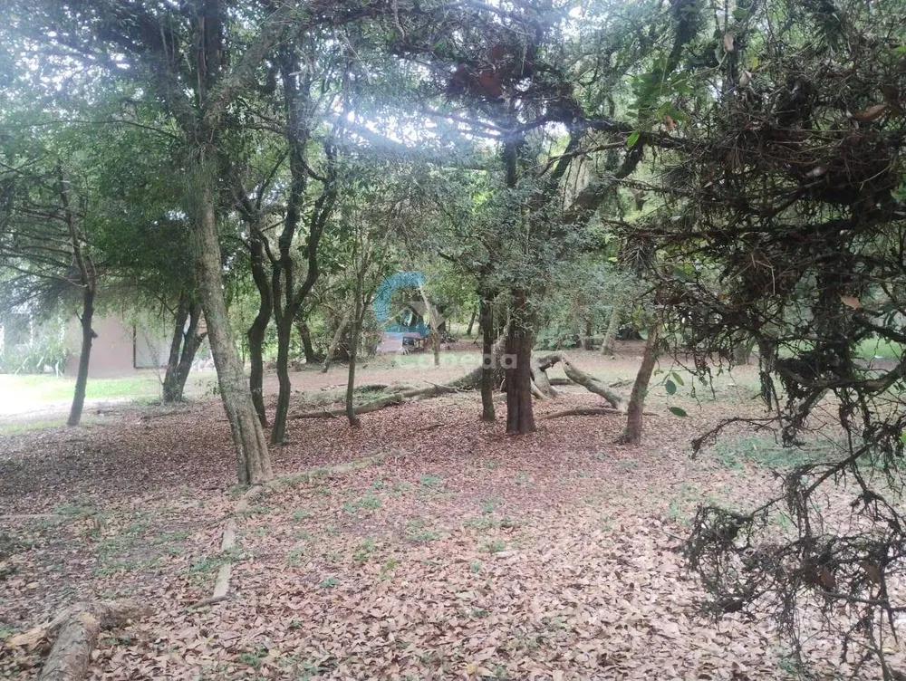 Terreno, 300 m² - Foto 9