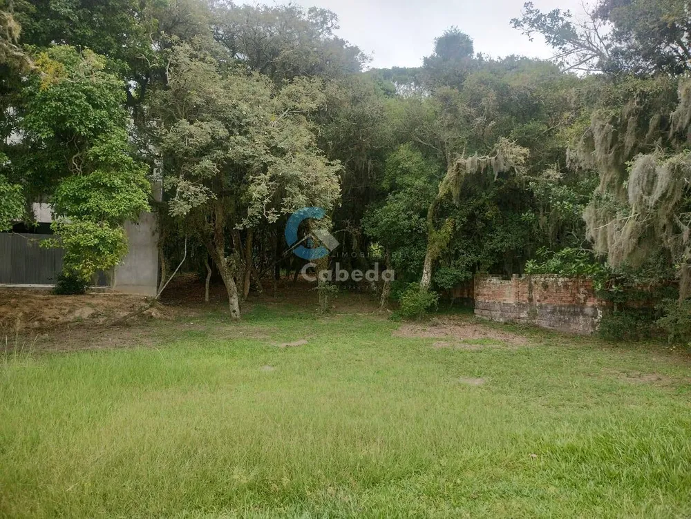 Terreno, 300 m² - Foto 2