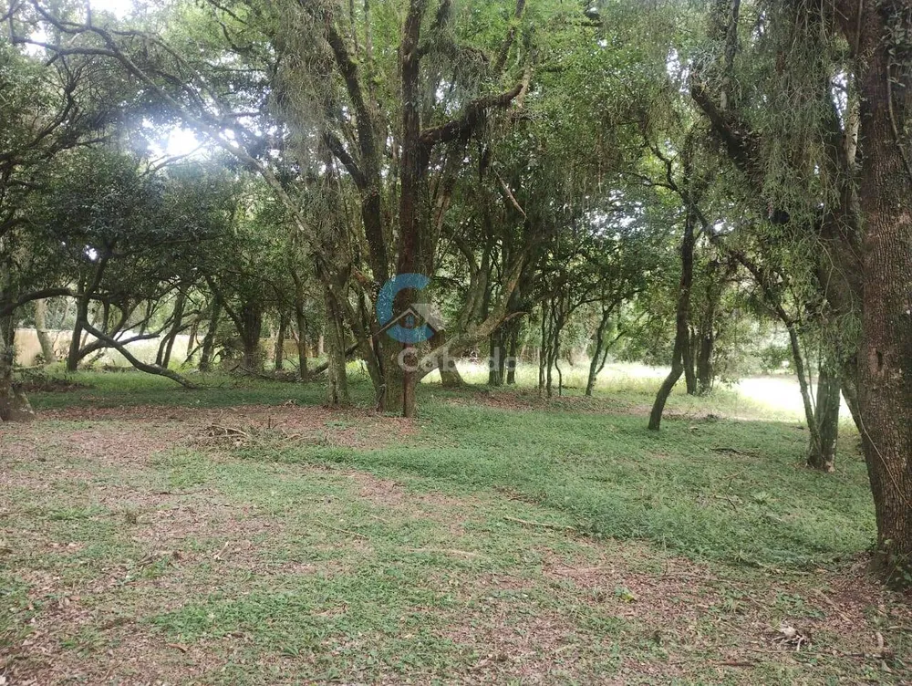 Terreno, 300 m² - Foto 7