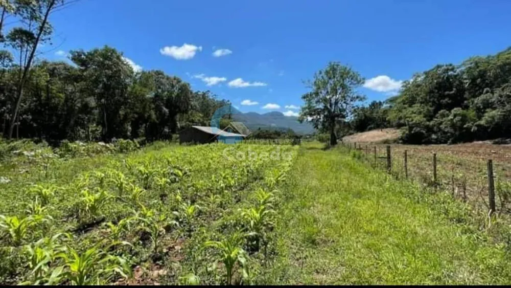 Chácara, 3 quartos, 6 hectares - Foto 8