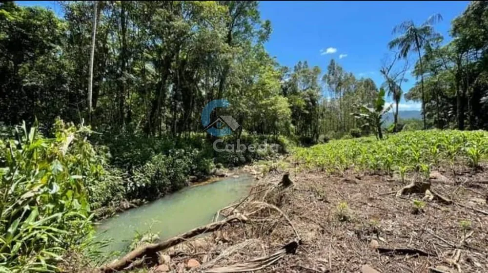 Chácara, 3 quartos, 6 hectares - Foto 11