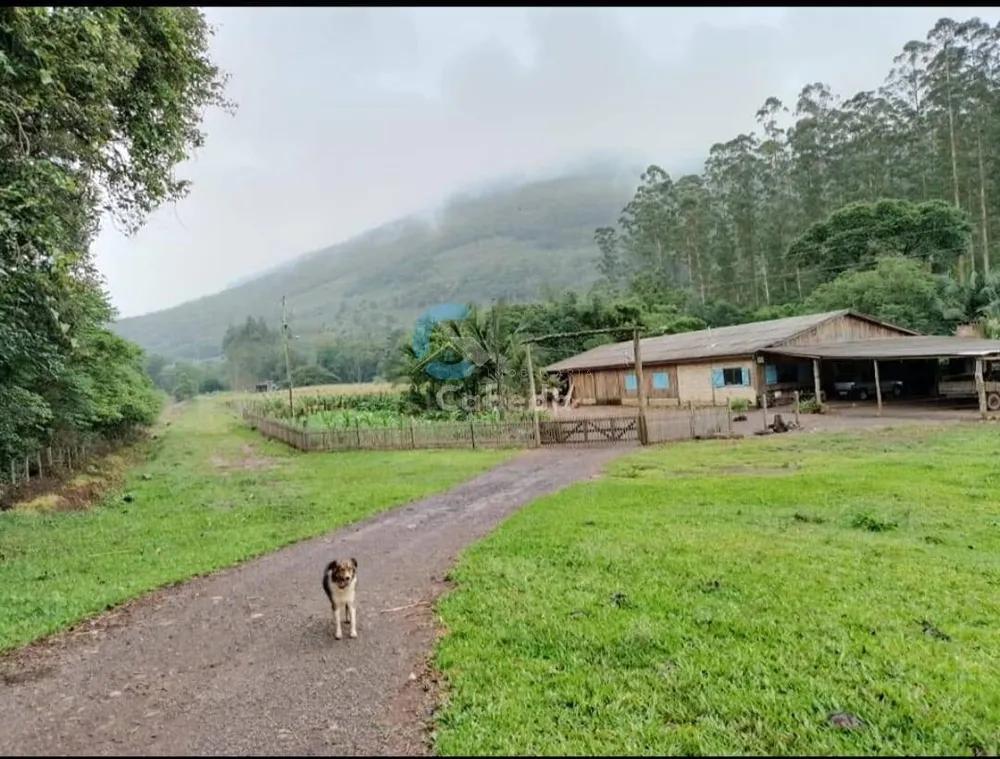Chácara, 3 quartos, 6 hectares - Foto 3
