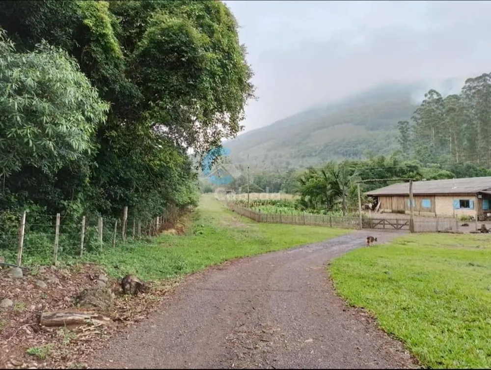 Chácara, 3 quartos, 6 hectares - Foto 12