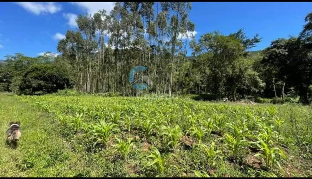 Chácara, 3 quartos, 6 hectares - Foto 4