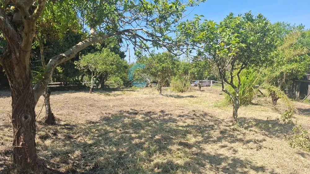 Terreno, 1250 m² - Foto 4
