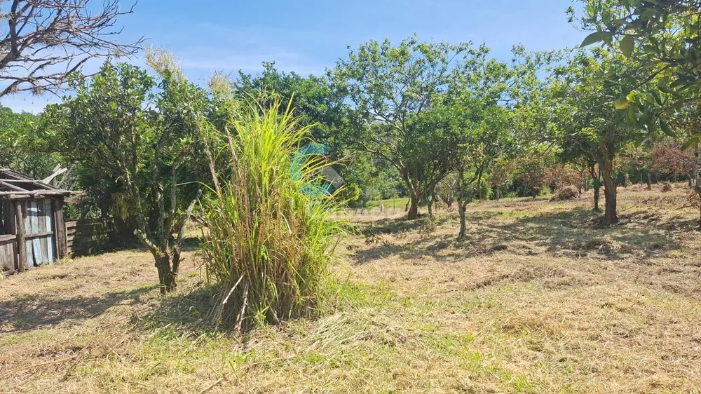 Terreno, 1250 m² - Foto 2