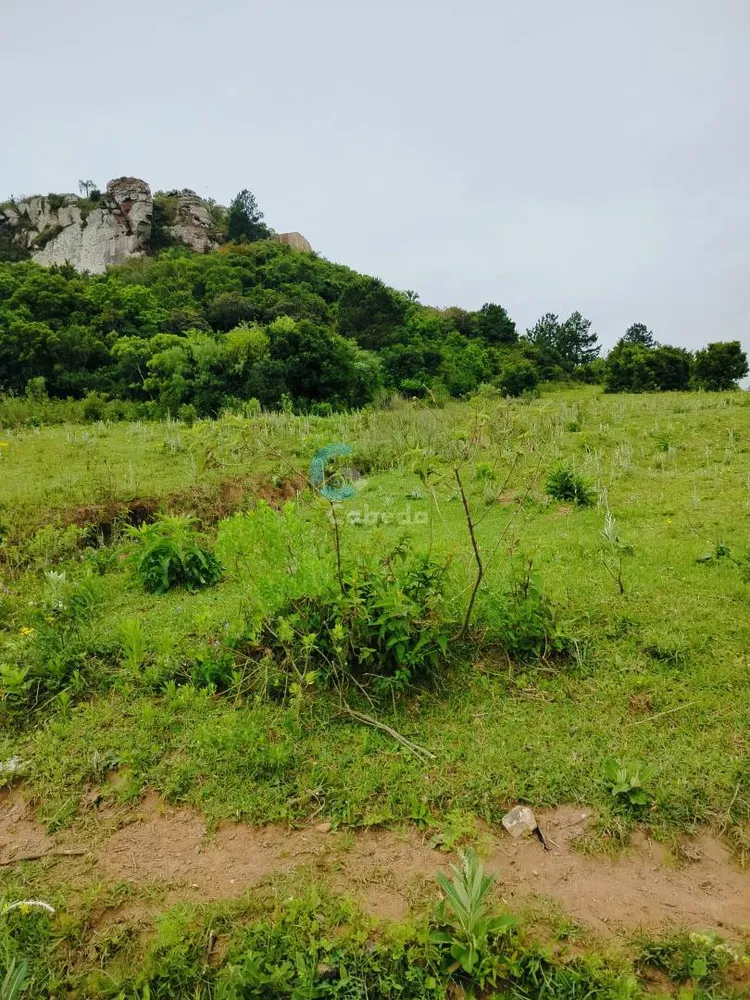 Terreno, 2 hectares - Foto 8
