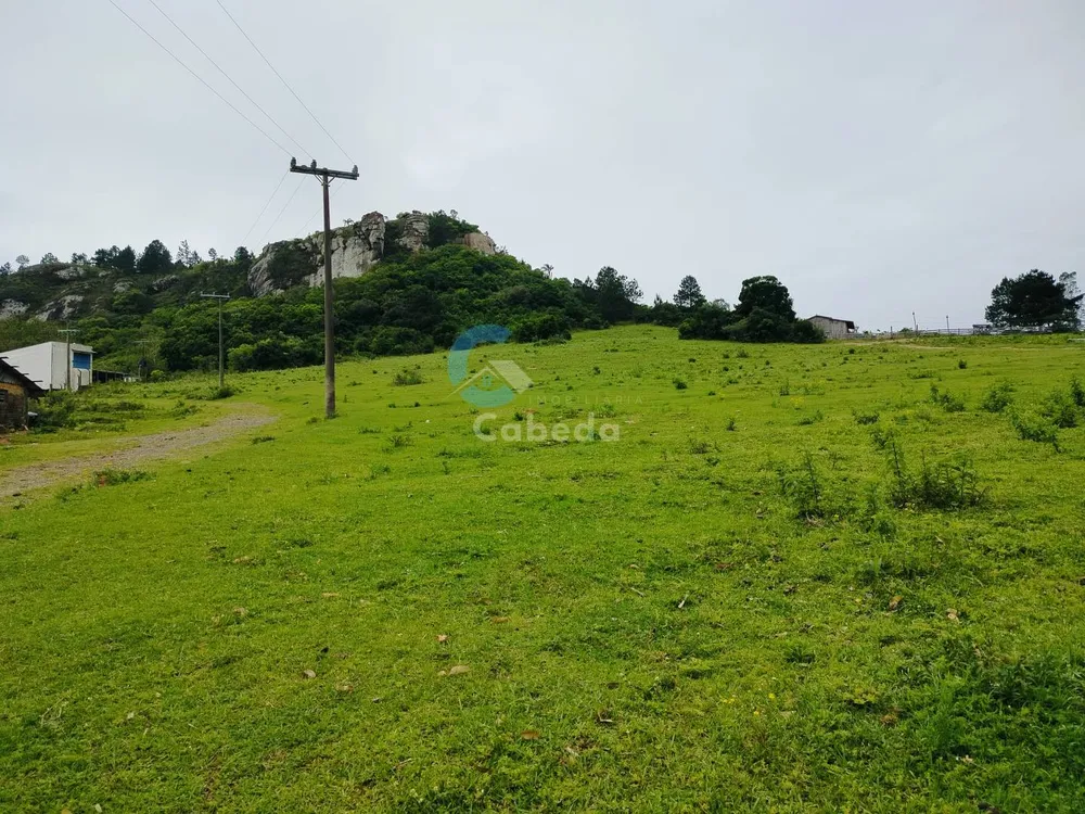Terreno, 2 hectares - Foto 6